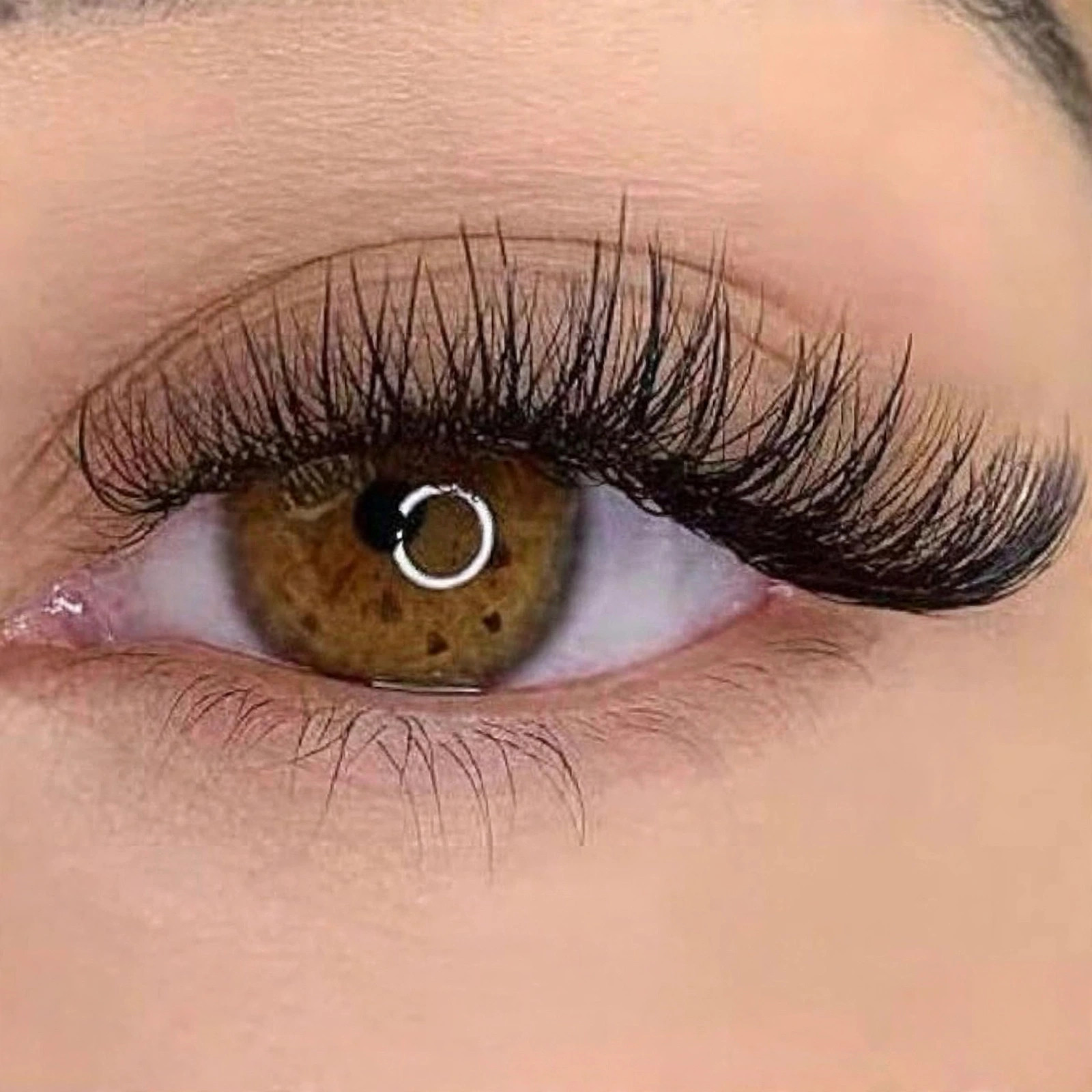 HYBRID LASH 2 WEEKS TOUCH UP
